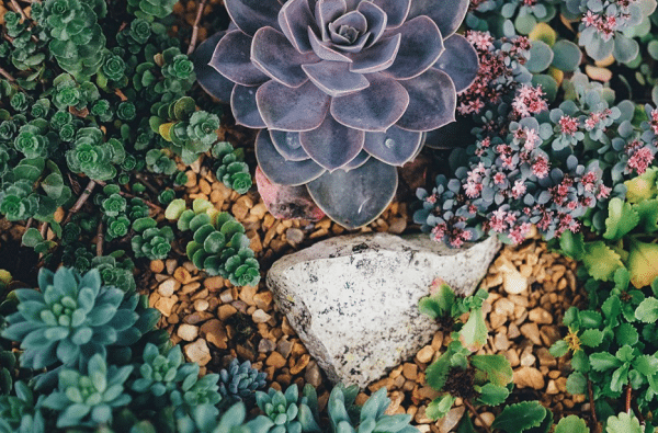 Consigli e informazioni per la corretta progettazione dei giardini Progettare un giardino gratis