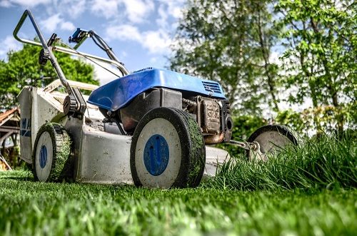 Quali sono i servizi e i prezzi delle ditte di giardinaggio? Imprese giardinaggio milano