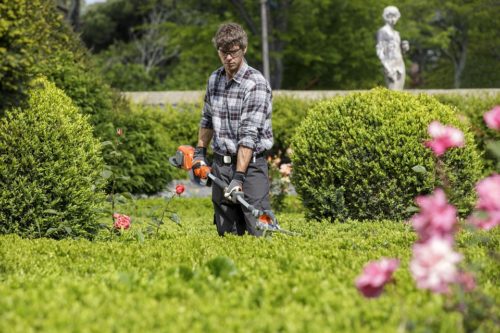 Giardinaggio