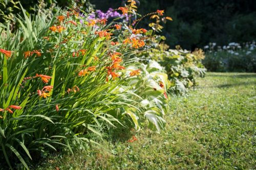 Il giardiniere per la tua casa: informazioni utili e consigli Quanto costa un giardiniere