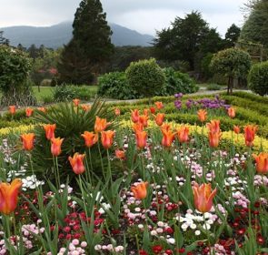 Quali sono i servizi e i prezzi delle ditte di giardinaggio ... Imprese giardinaggio milano