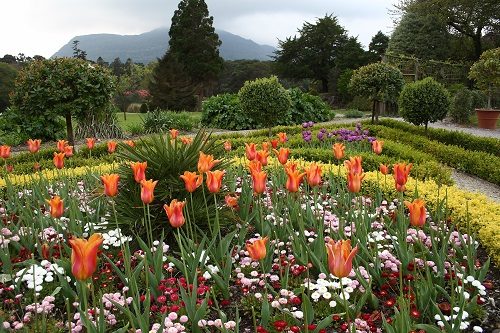 Seleziona il preventivo più conveniente per il tuo giardino Come fare un preventivo di giardinaggio