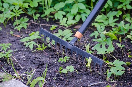 preventivo giardino