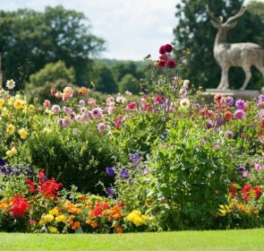 Quali sono i servizi e i prezzi delle ditte di giardinaggio? Imprese giardinaggio milano