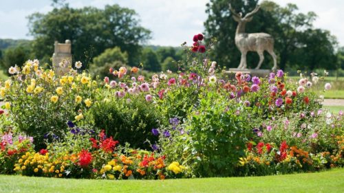 Come e quando svolgere i lavori di giardinaggio? Come fare un preventivo di giardinaggio