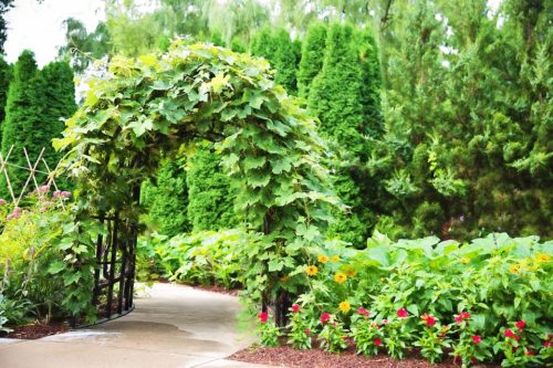 Informazioni e consigli per la manutenzione dei giardini Rifare il giardino