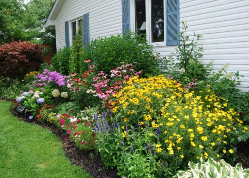 La progettazione di aiuole per il tuo giardino: consigli e informazioni Creare un aiuola