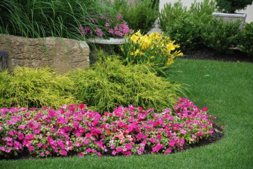La progettazione di aiuole per il tuo giardino: consigli e informazioni Progettazione aiuole giardini