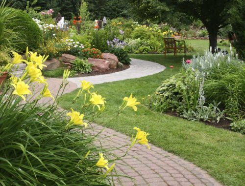 Sei un appassionato del giardinaggio fai da te? ecco dei consigli per te Imprese giardinaggio milano