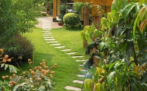Sei un appassionato del giardinaggio fai da te? ecco dei consigli per te Quanto costa un giardiniere