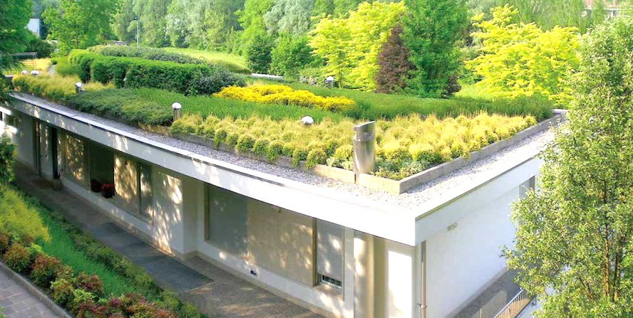 I giardini pensili per unarea verde alla portata di tutti Come creare un giardino pensile sul terrazzo