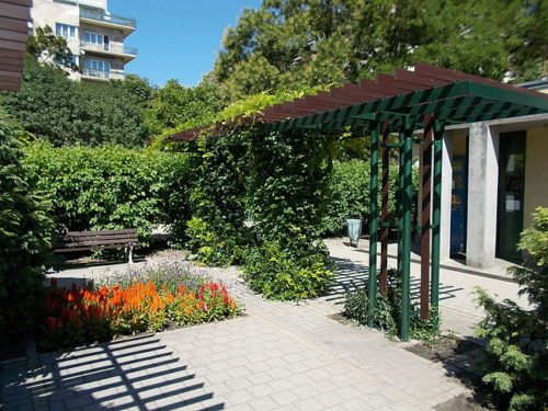 Il giardiniere per la tua casa di roma: informazioni utili e consigli Imprese giardinaggio milano