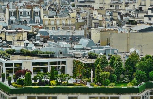 I giardini pensili per unarea verde alla portata di tutti Giardini pensili cosa sono
