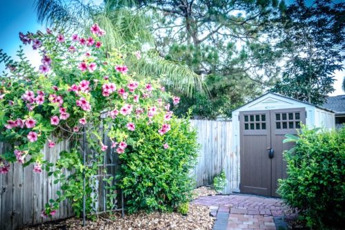 Consigli utili per realizzare dei giardini di piccole dimensioni Immagini piccoli giardini