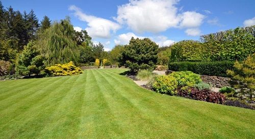 Erba sintetica Verona - tappeto erboso perfetto non solo per il tuo giardino