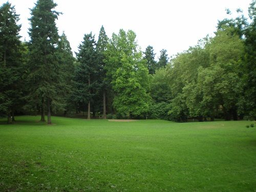 Come realizzare un perfetto prato inglese per il tuo giardino? Prato fiorito in inglese