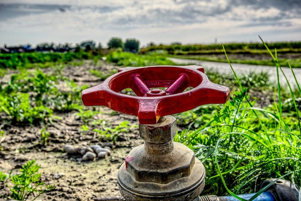 Come si sceglie l'irrigatore automatico per il giardino