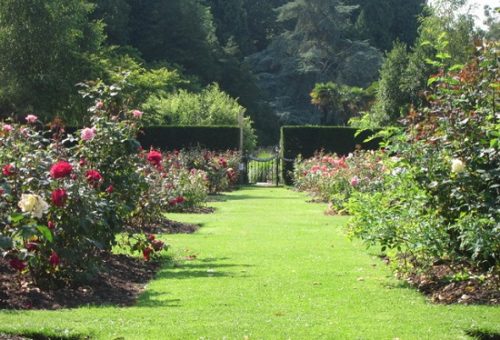 giardinieri bergamo 