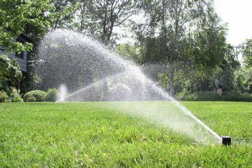 Irrigazione del giardino: consigli utili e informazioni per te