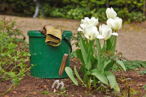 strumenti da giardinaggio 