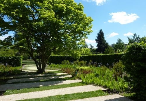 Consigli utili per trovare il giardiniere più economico a brescia Quanto costa un giardiniere
