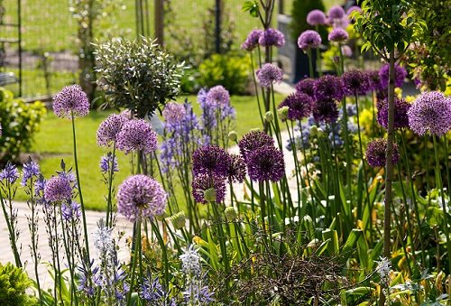 Consigli utili per trovare il giardiniere più economico a brescia Quanto costa un giardiniere