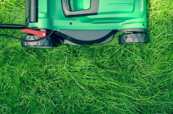 Tutte le informazioni necessarie sul bonus verde Quanto costa un giardiniere